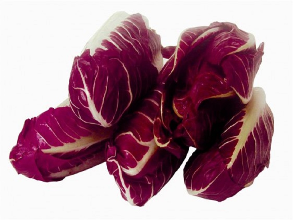 Insalata Radicchio/Trevisana Lunga