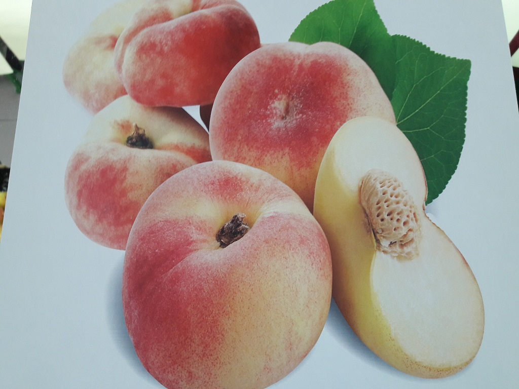Pesche Tabacchiera