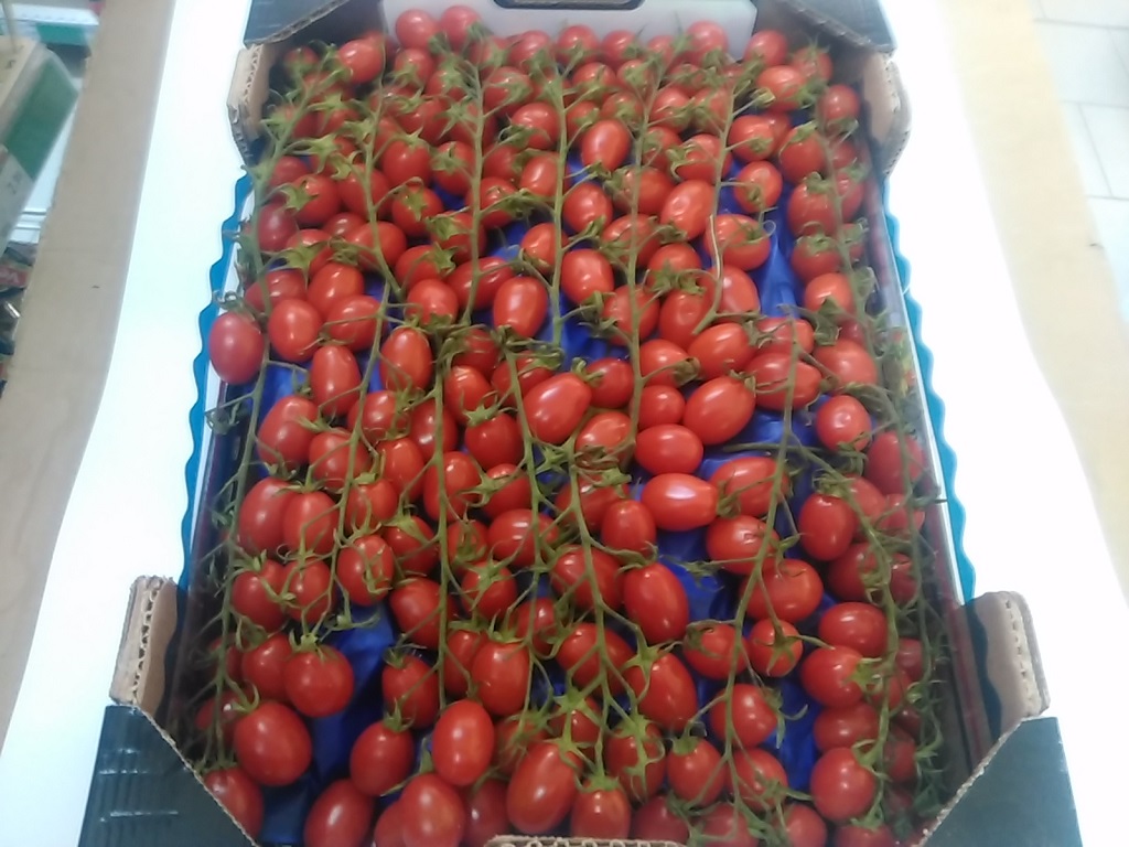 Pomodoro Datterino Sfuso