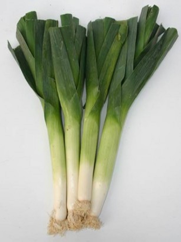 Porri