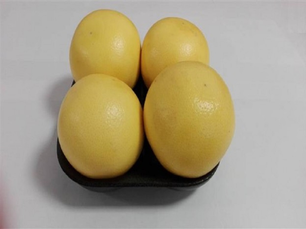 Pompelmi Gialli