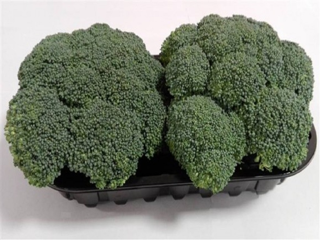 Broccoli g500