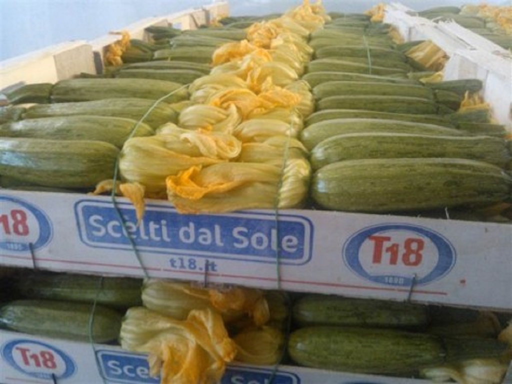 Zucchine Chiare con Fiore